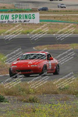 media/May-04-2024-Lucky Dog Racing (Sat) [[d39539b3f3]]/Race Pics/1230pm (Turn 4a)/